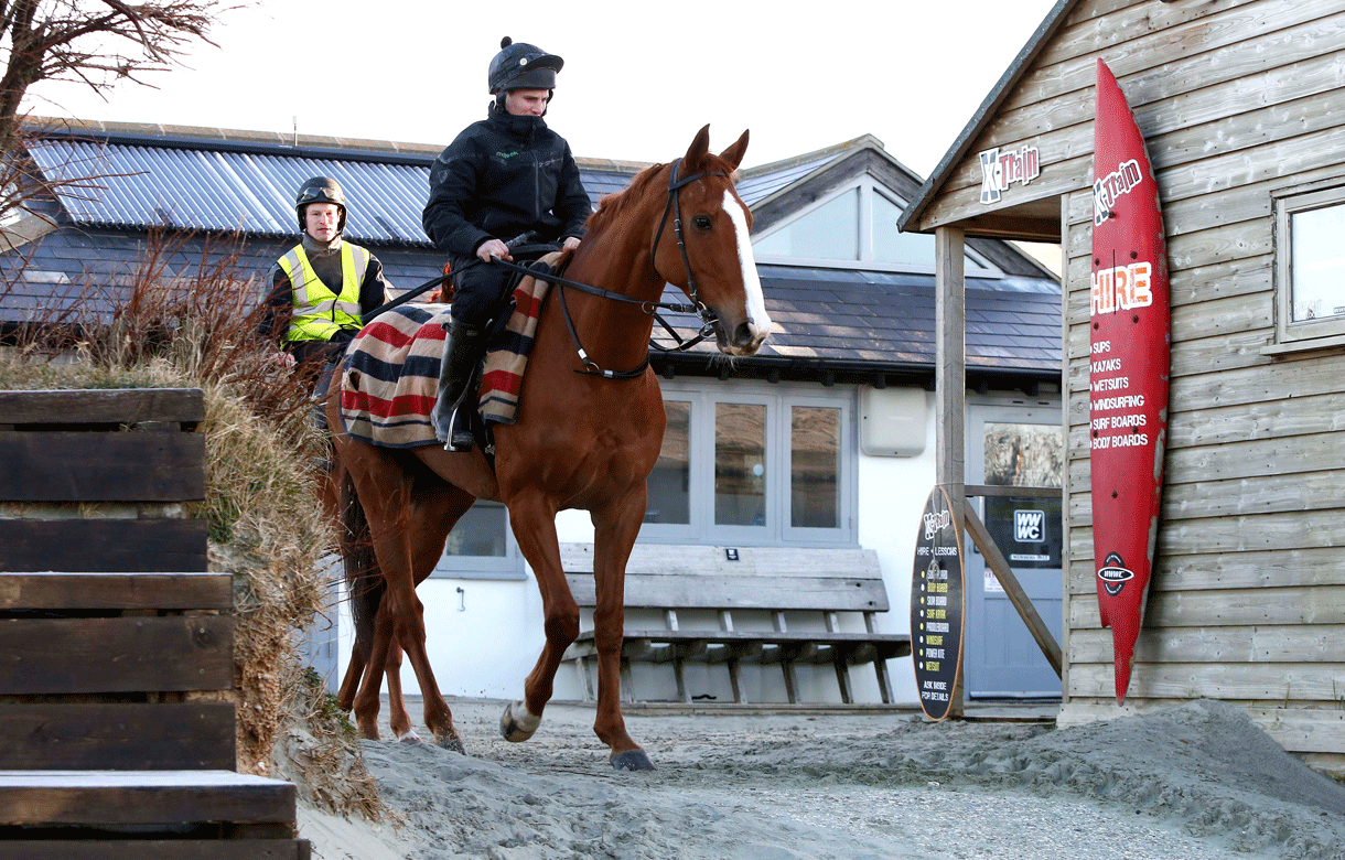 Gary Moore blog: Life’s a beach for Sire De Grugy